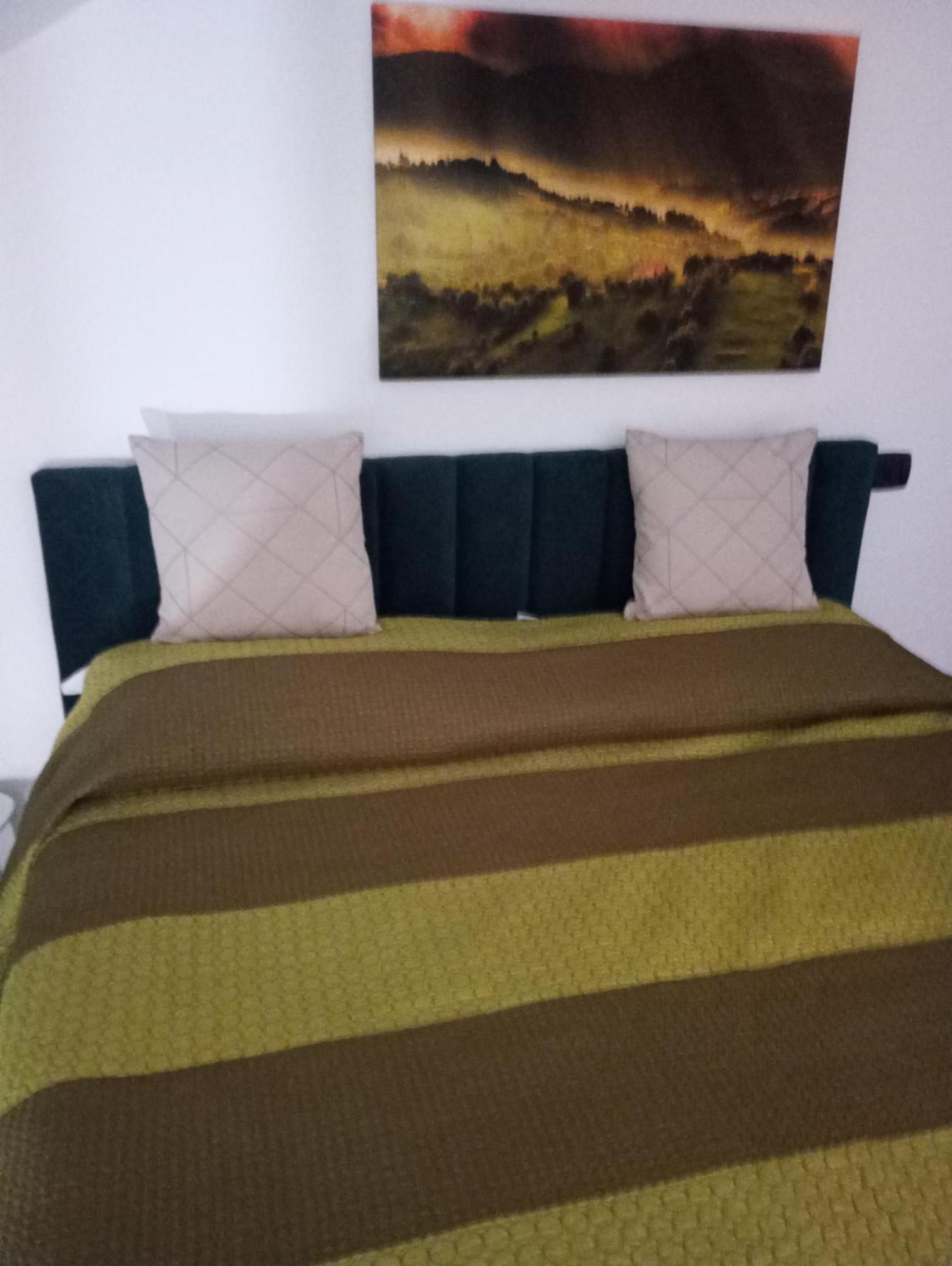 Casa Doina Apartment Băile Felix Екстериор снимка