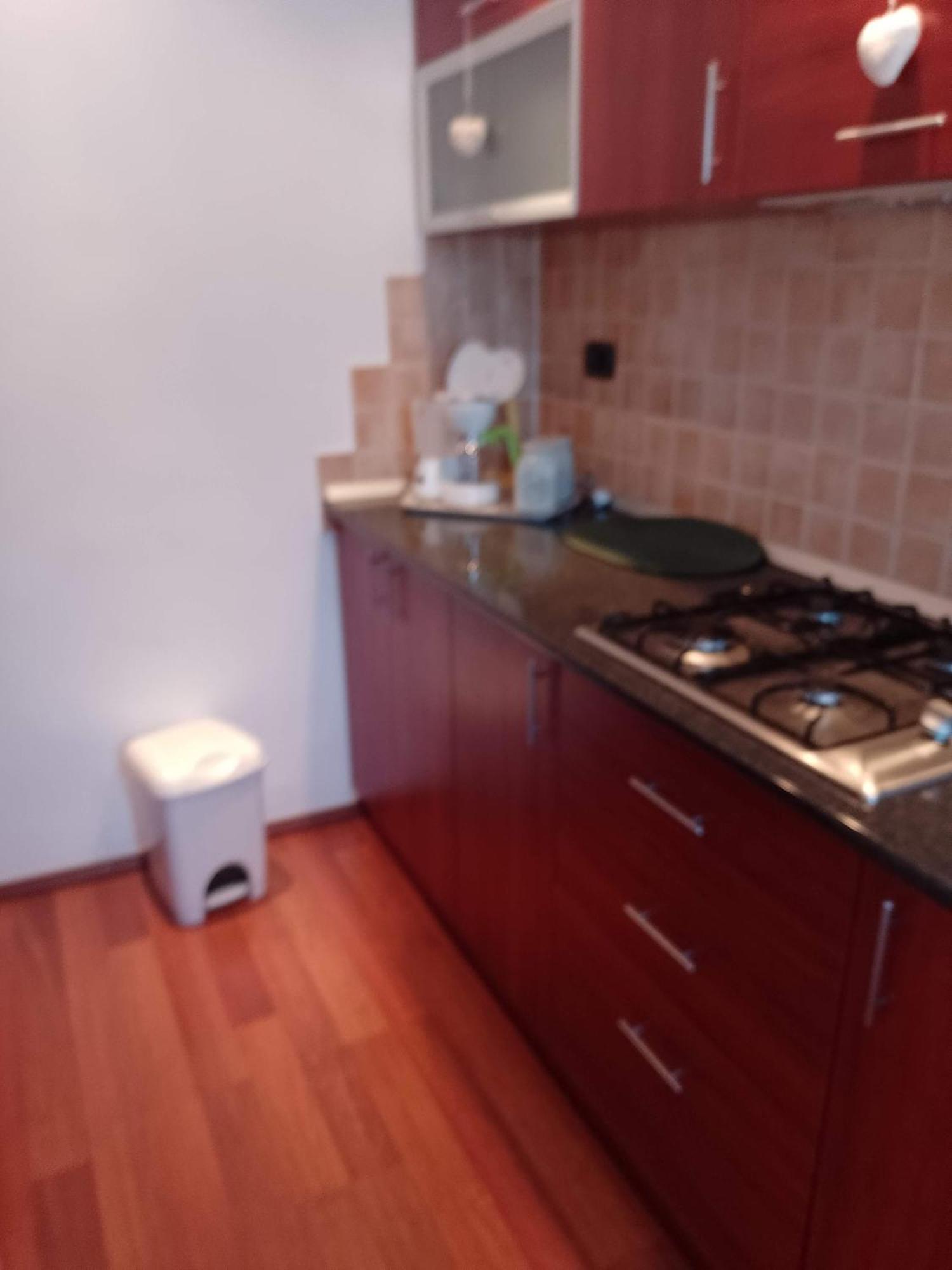 Casa Doina Apartment Băile Felix Екстериор снимка