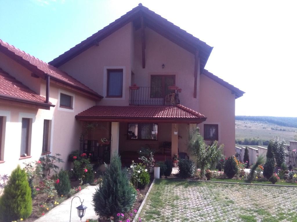 Casa Doina Apartment Băile Felix Екстериор снимка