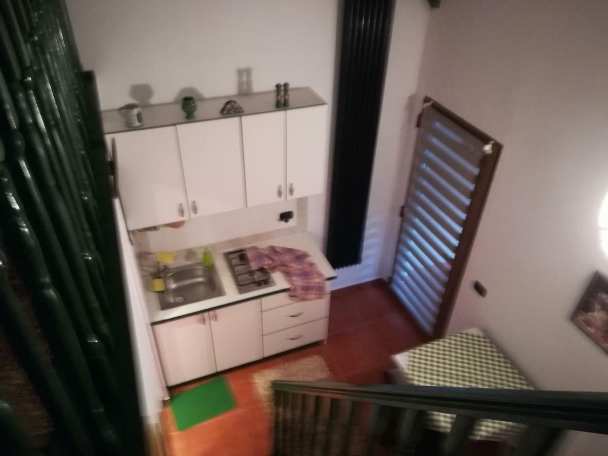 Casa Doina Apartment Băile Felix Екстериор снимка